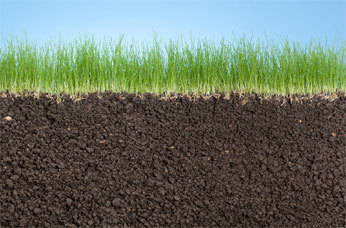 Select seedbed soil
