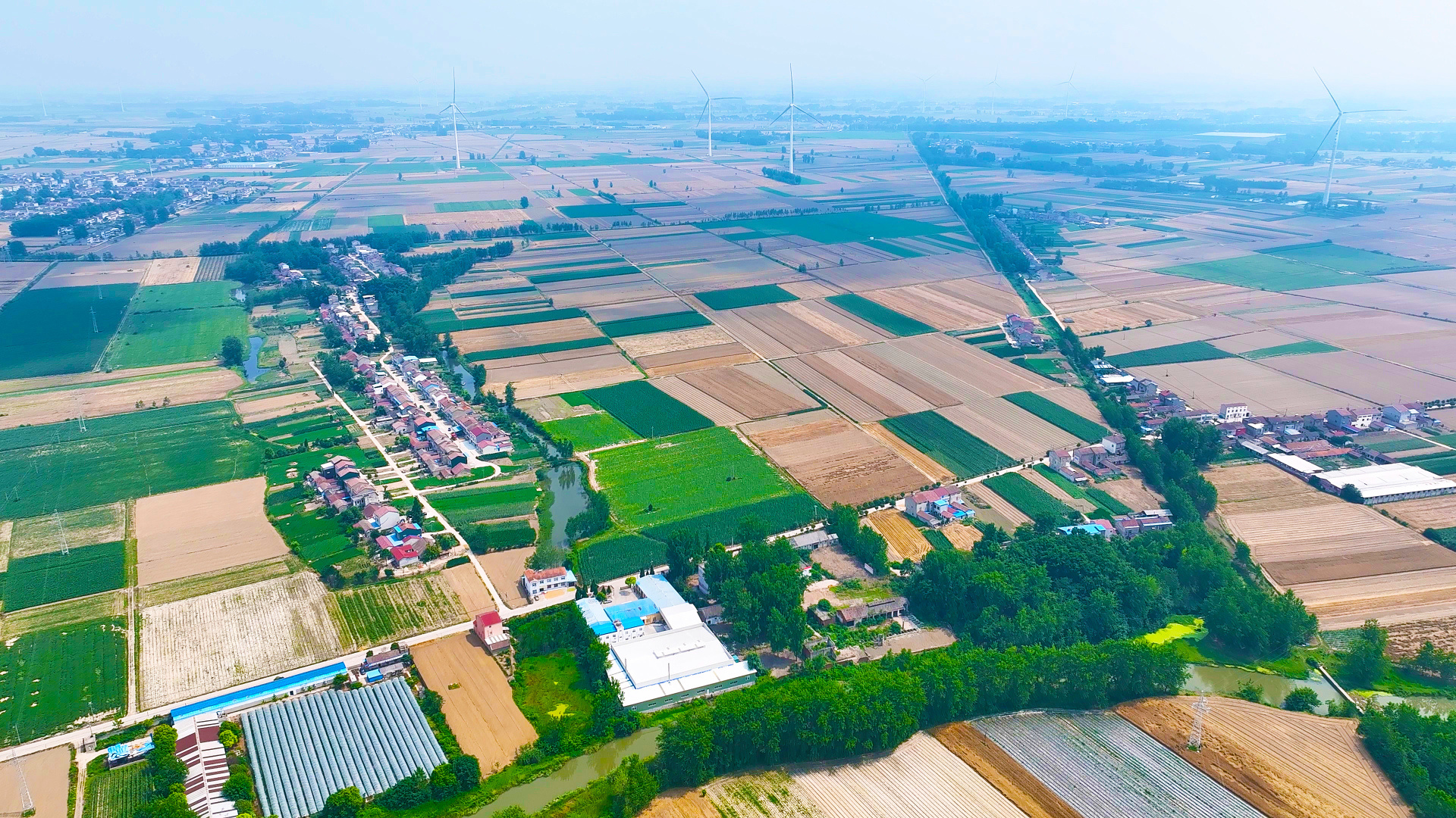 奔跑的三夏丨中联重科点亮荆楚大地“油稻轮作”好“丰”景
