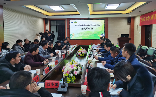 水稻有序机抛秧 校企联动助推广