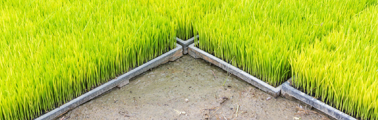 HUAZHI